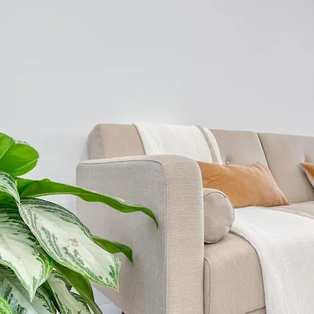 Apartament Beco Santa Emilia 4o, A In Madeira Funchal (Madeira)